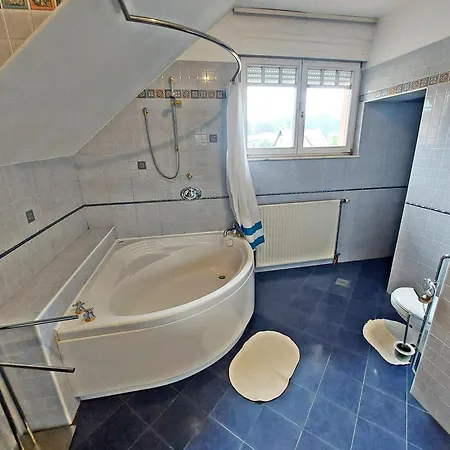 Πανσιόν R24, Rose House Λιουμπλιάνα